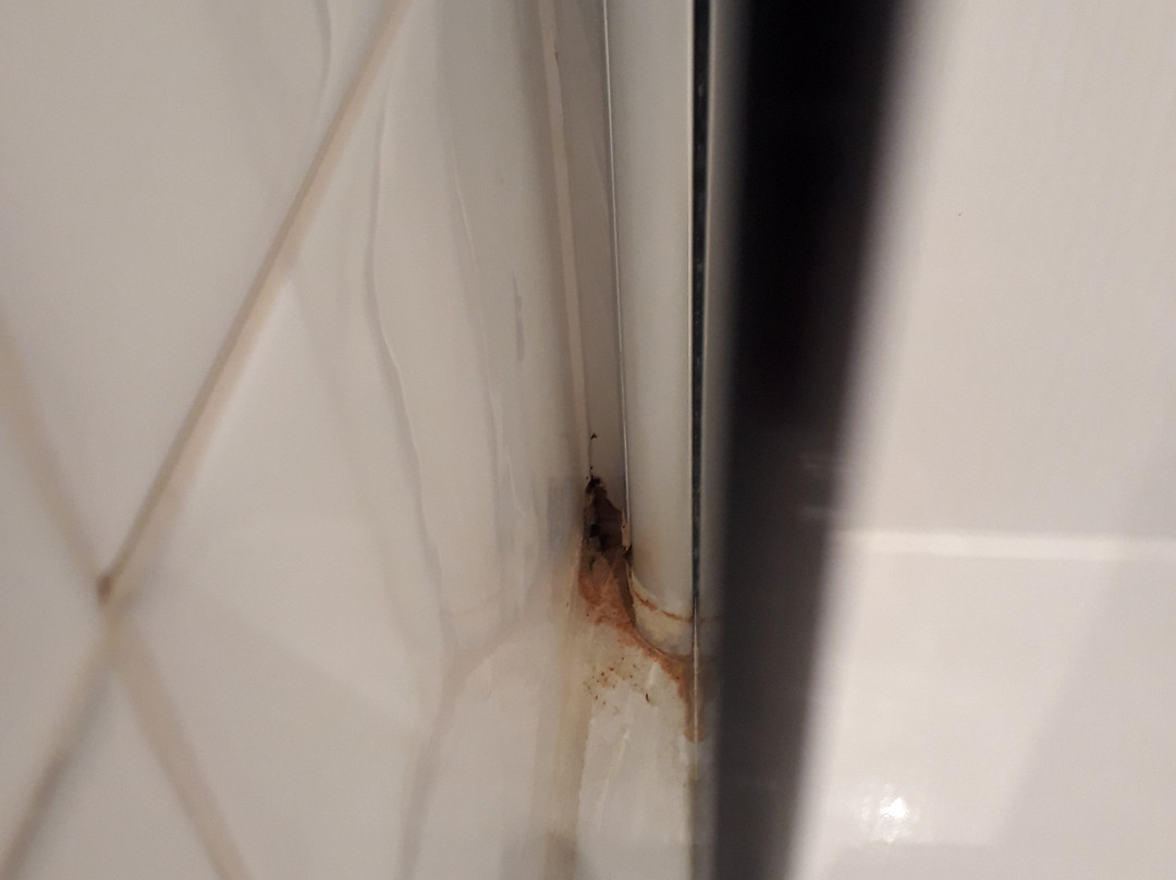 The Bear (Hotel)主图