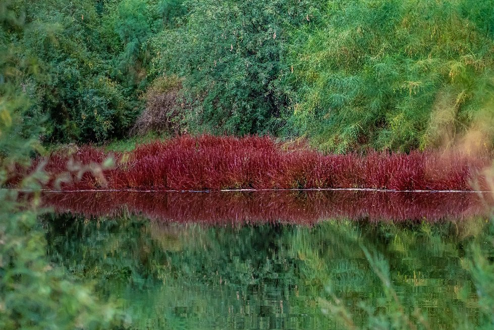 Tres Rios Wetlands-凤凰城必去景点
