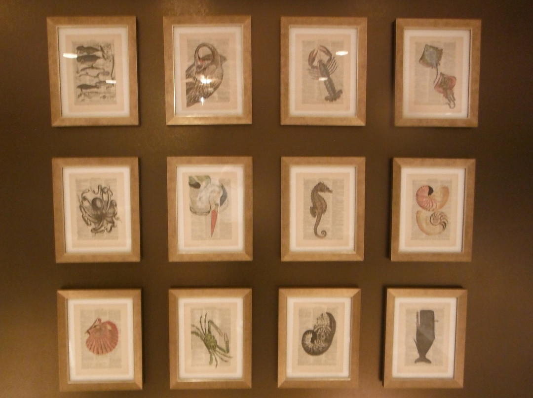 Hyatt Place Mount Pleasant Towne Centre主图