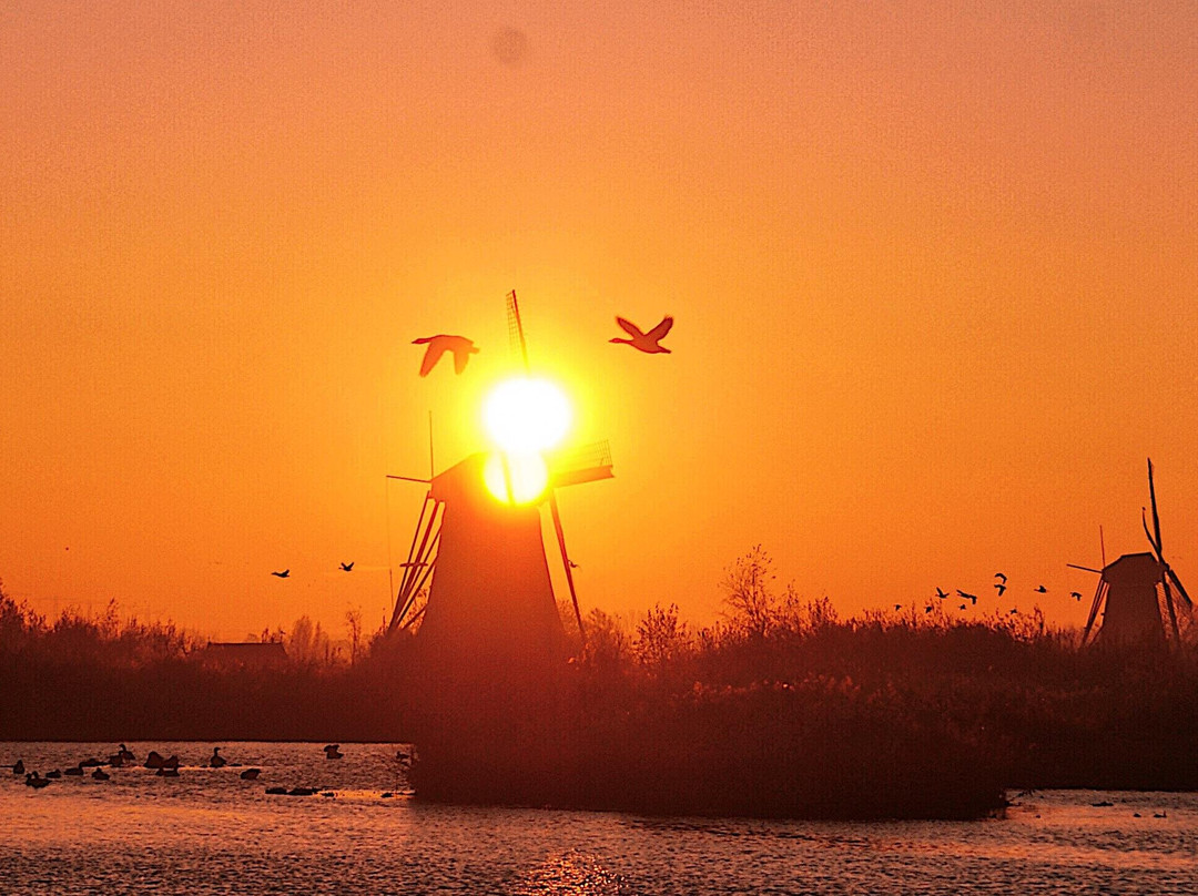 Travel Kinderdijk-小孩堤防必去景点
