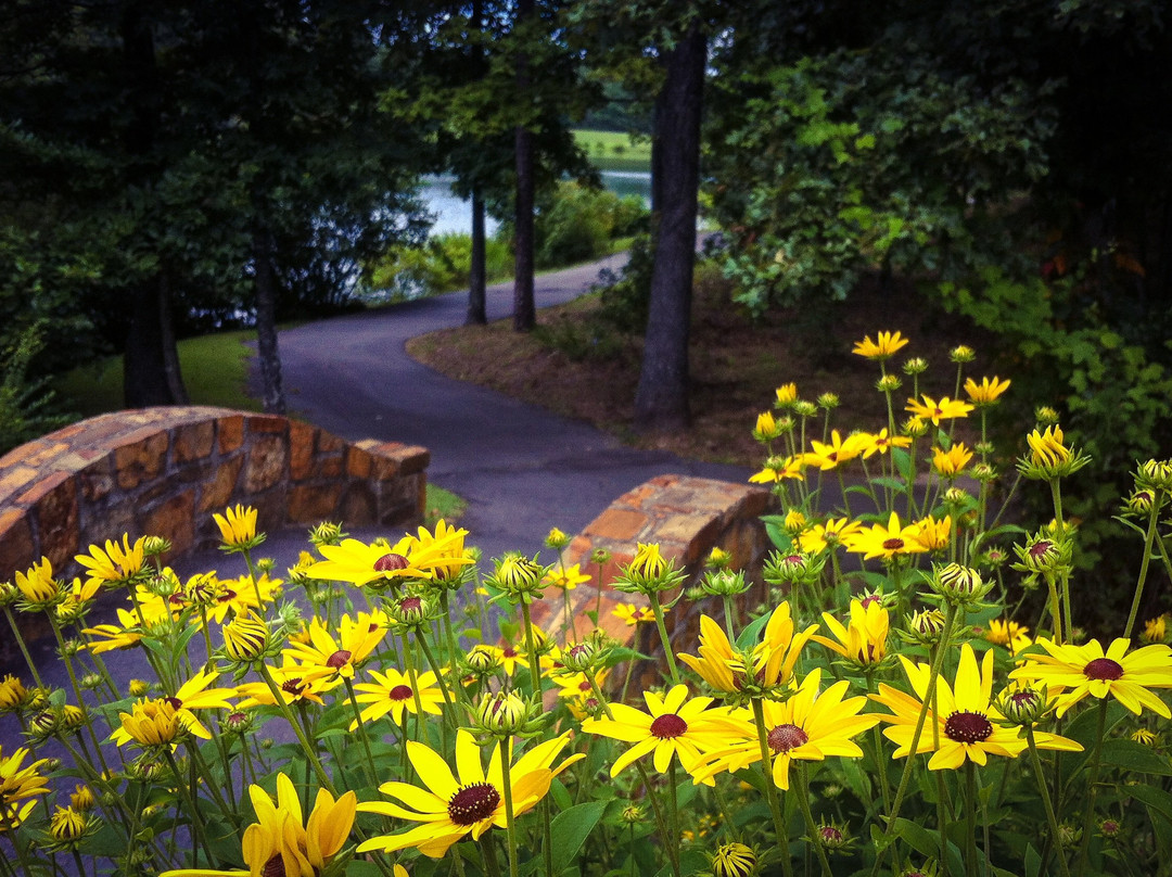 Wildwood Park for the Arts-小石城必去景点