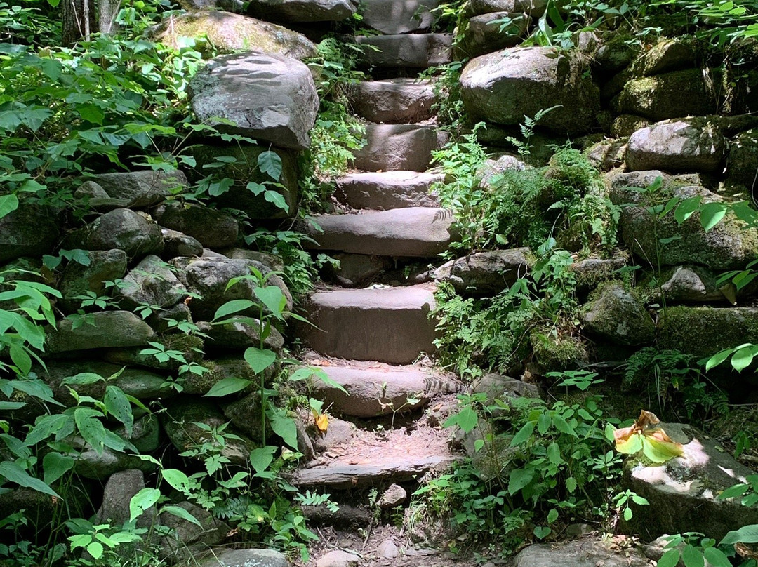 Porters Creek Trail-大雾山国家公园必去景点