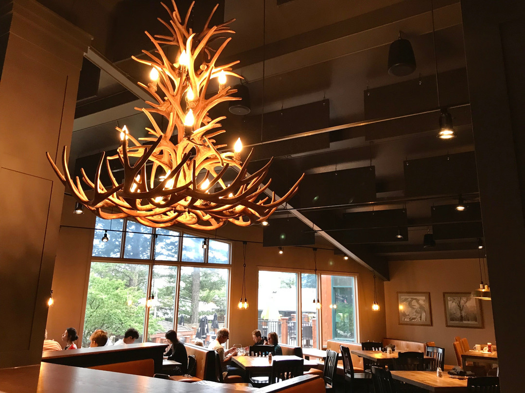 Antlers at the lodge