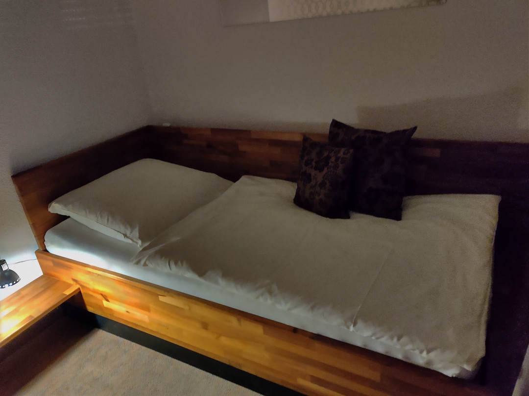 Art-Hotel Weingarten主图