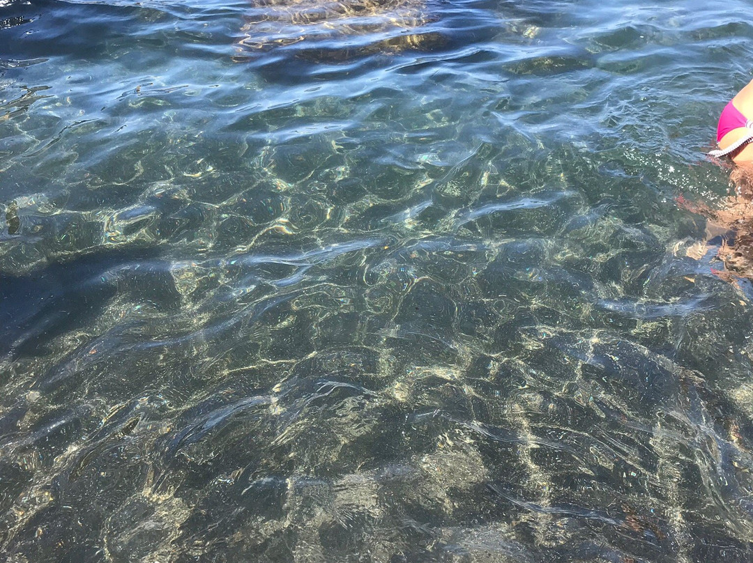 La Playa de Luca景点图片