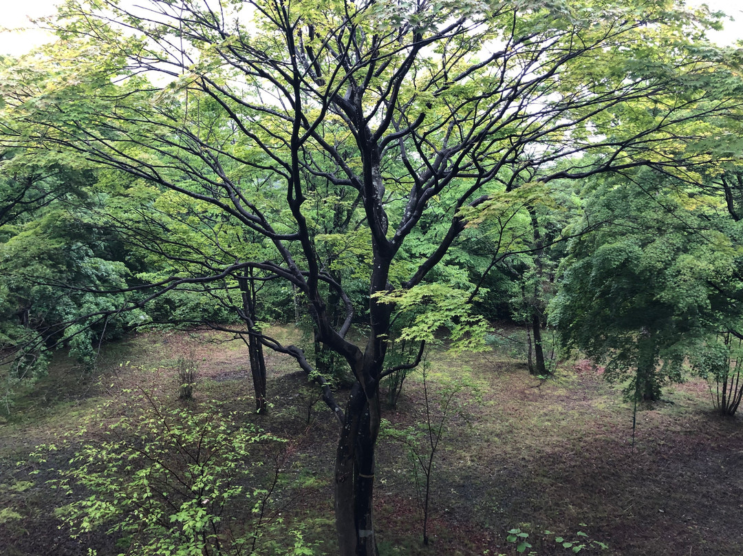 星野集团 界 鬼怒川主图