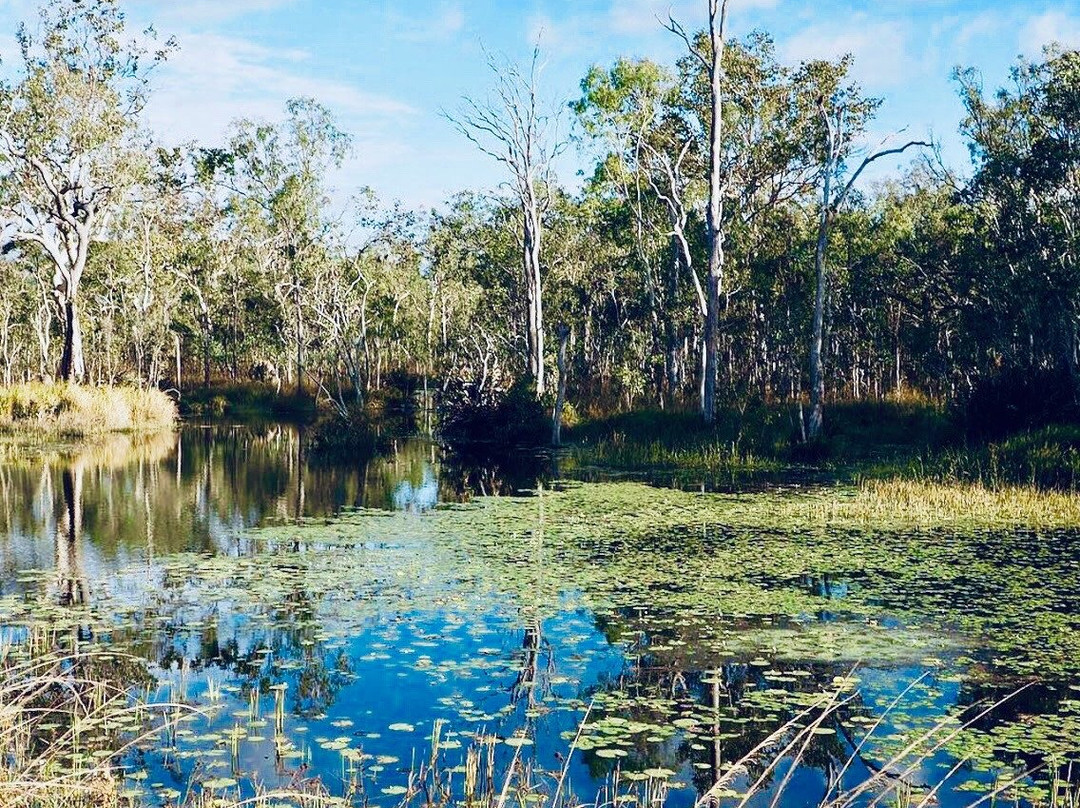 Man and Dog Bush Adventures-道格拉斯港必去景点