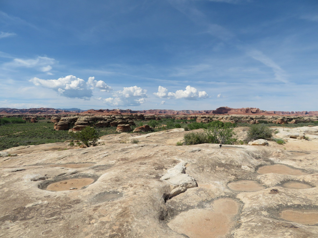 Cave Spring-峡谷地国家公园必去景点
