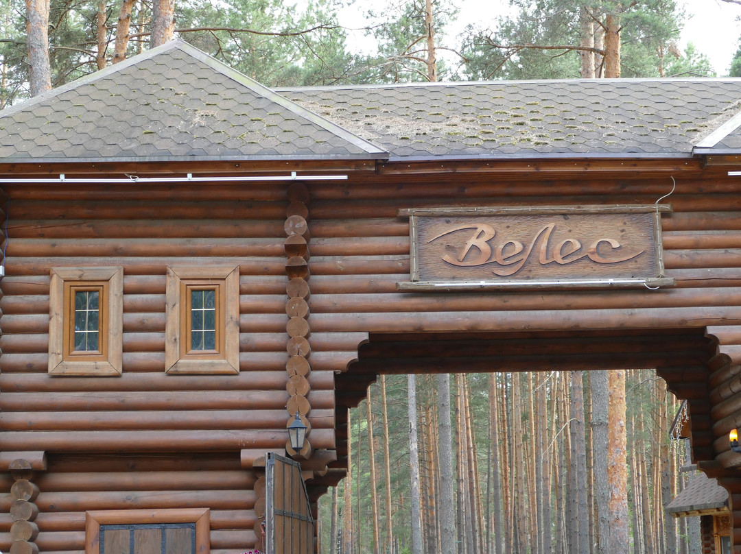 Eco Hotel VeLes主图