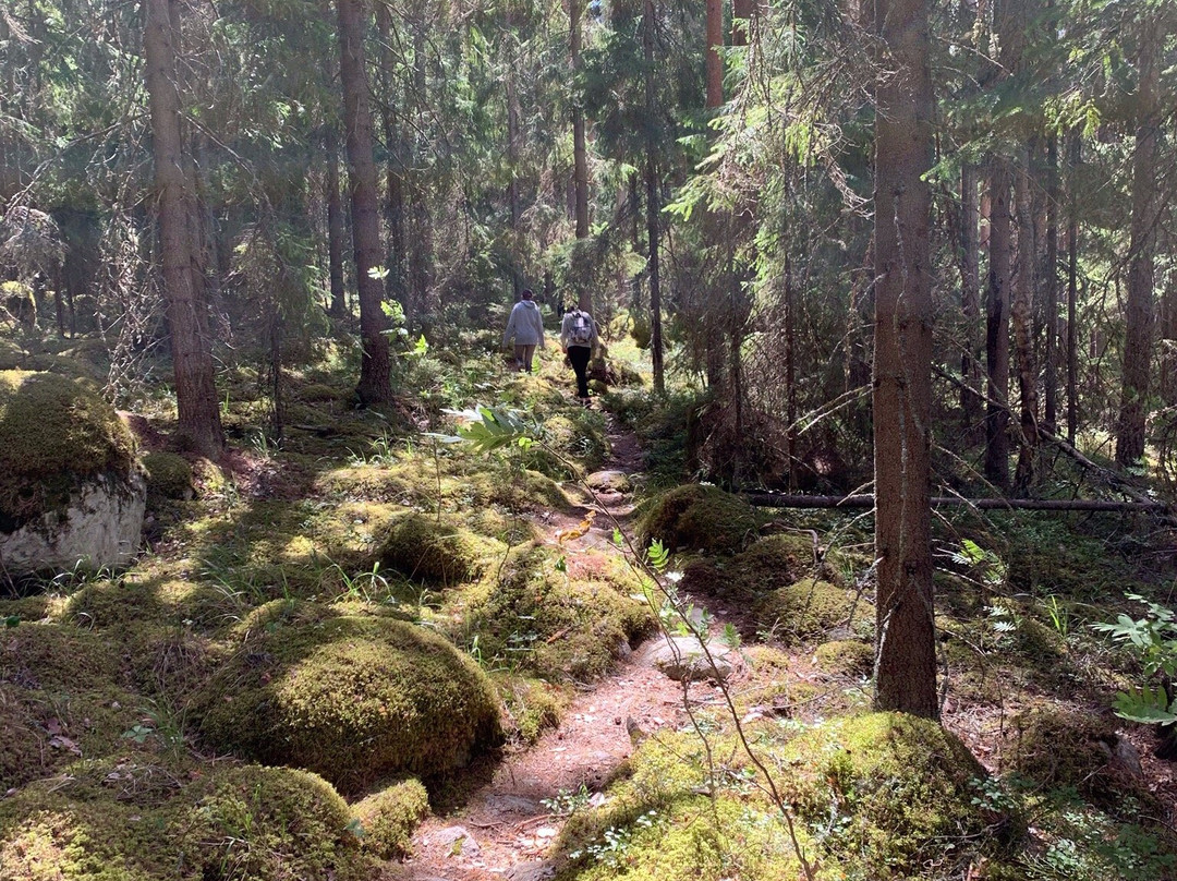 Kelvenne Trail-Padasjoki必去景点