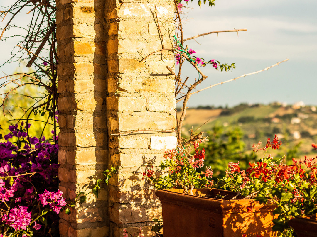 Collina dei Ciliegi b&b