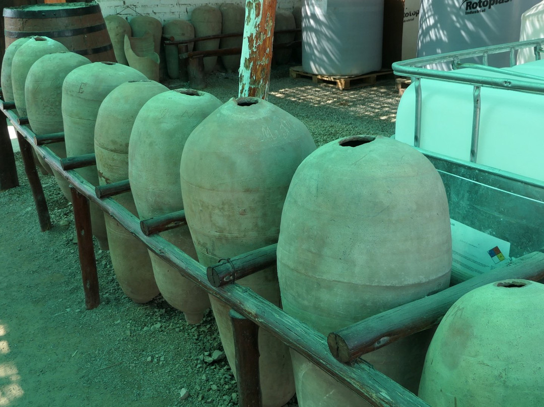 Bodega Tres Generaciones-伊卡必去景点