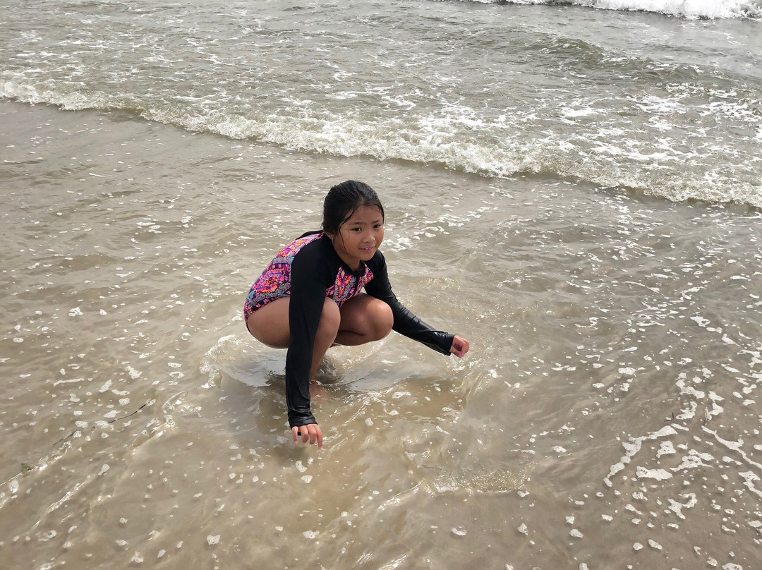 Lido Beach-Lido Beach必去景点