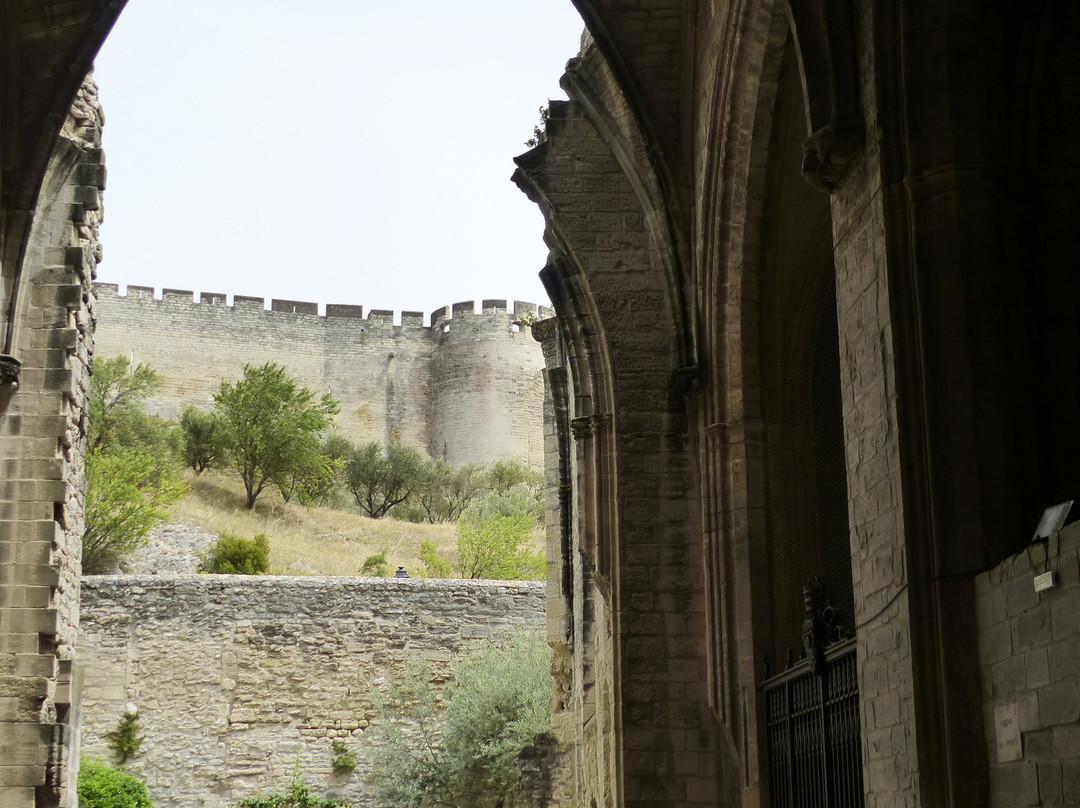 Chartreuse de Villeneuve lez Avignon景点图片