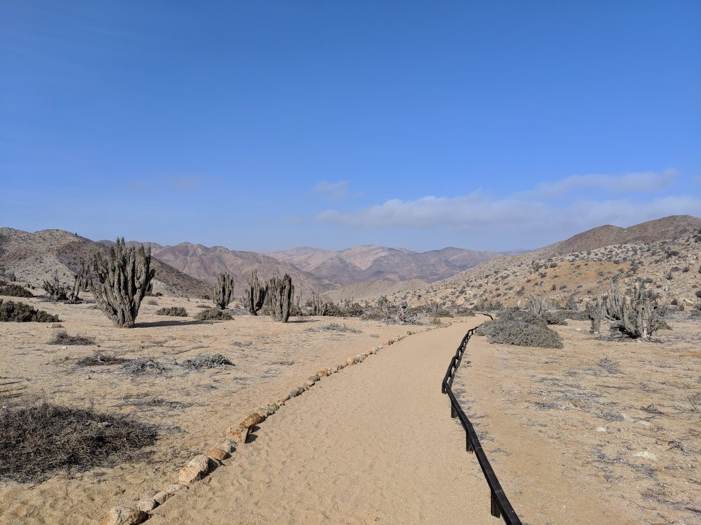 Cactus Explora-Caldera必去景点