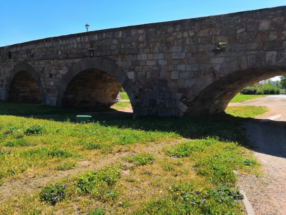 Puente Romano景点图片