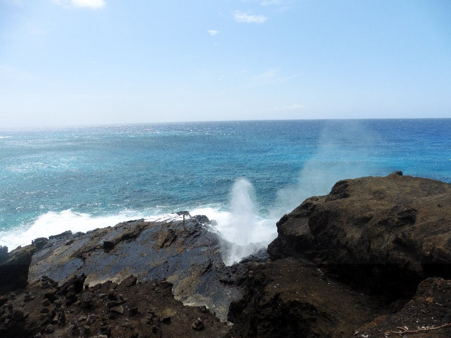 North Shore Tours & Beach Bus-火奴鲁鲁必去景点