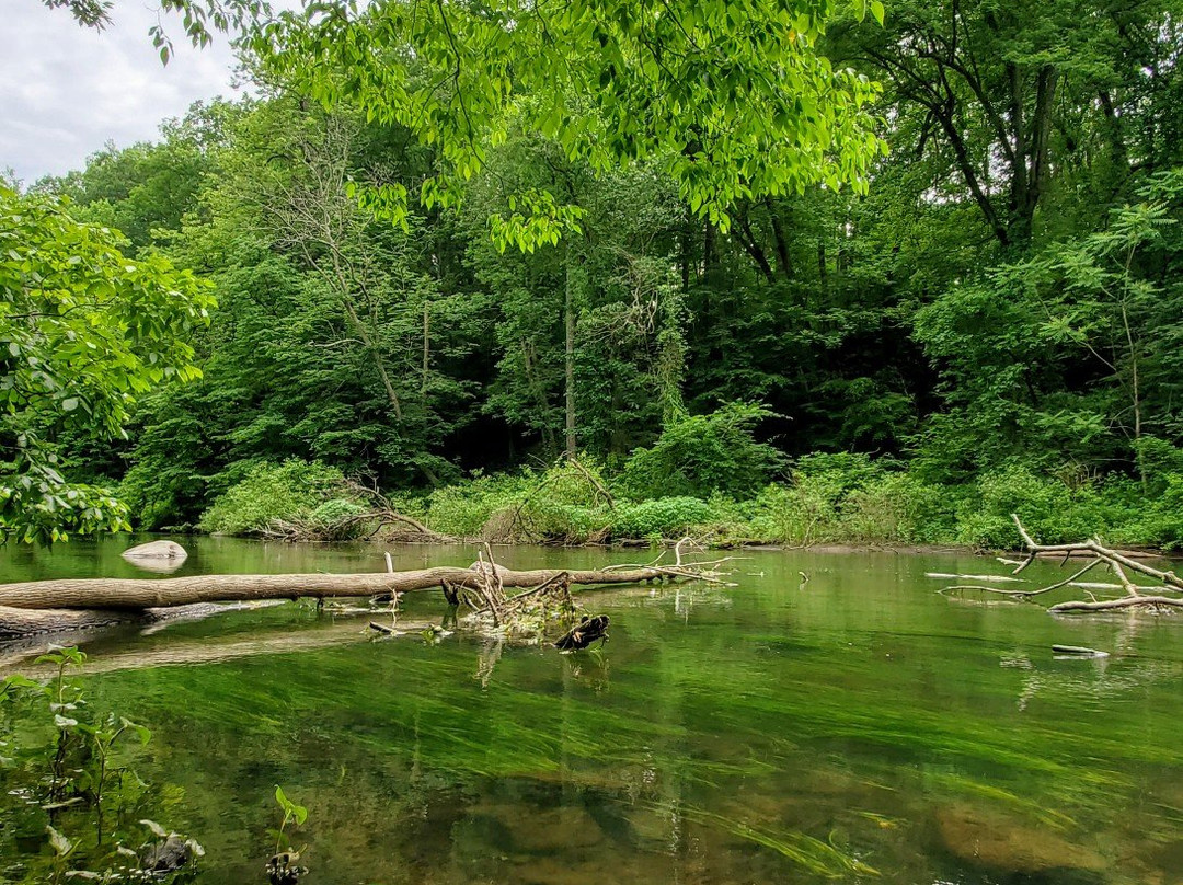 Stephens State Park景点图片