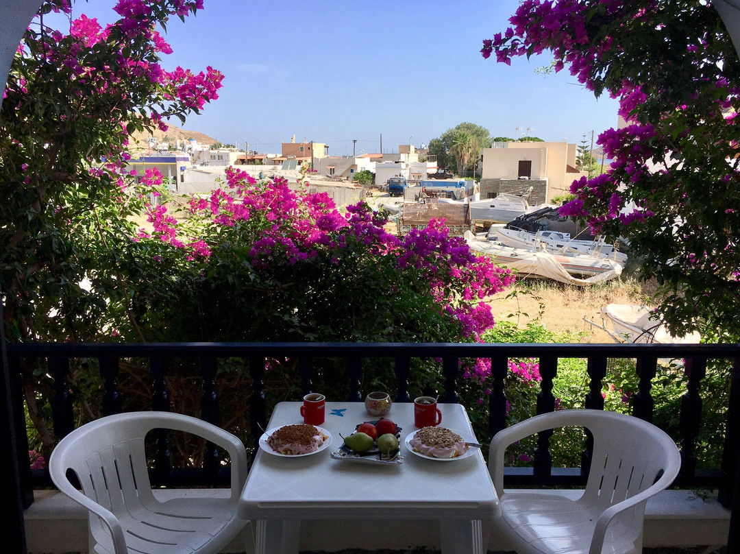 Koralli Studios主图