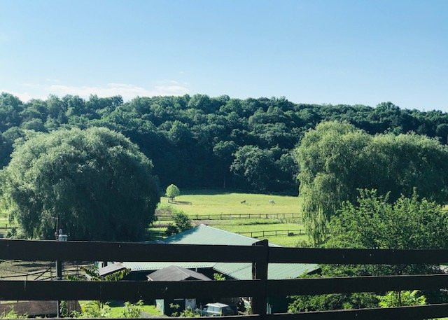 Catskill Animal Sanctuary主图