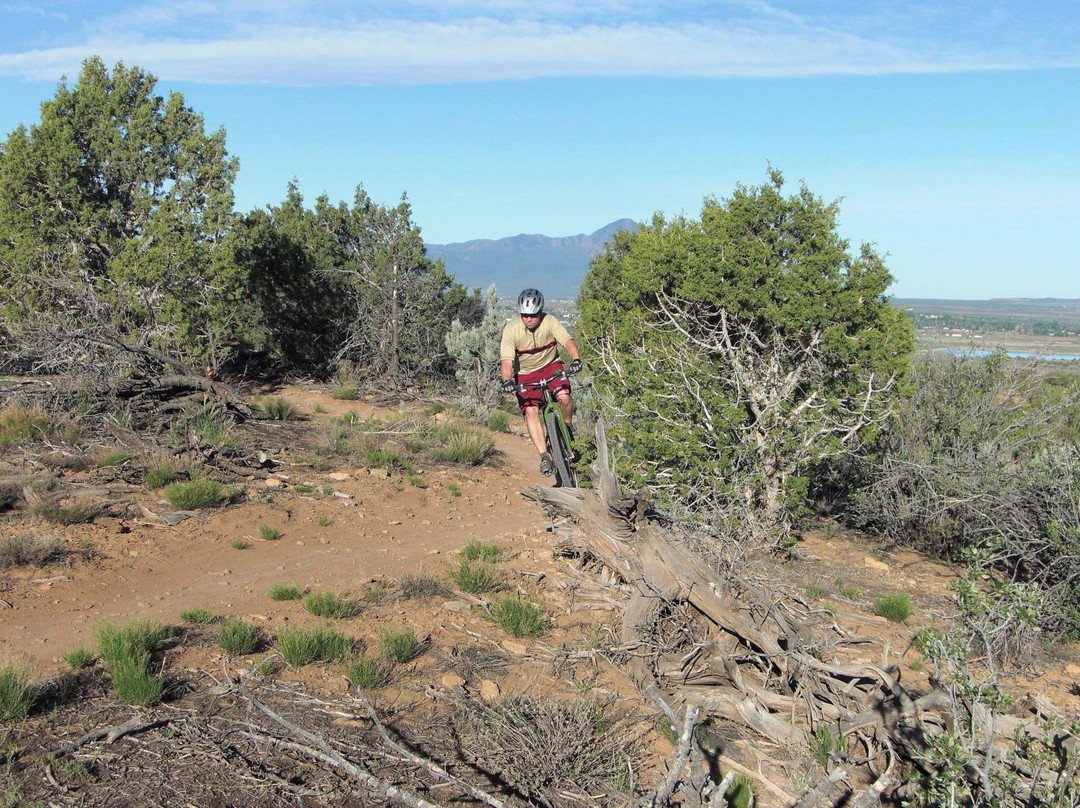 Kokopelli Bike and Board-科尔特斯必去景点