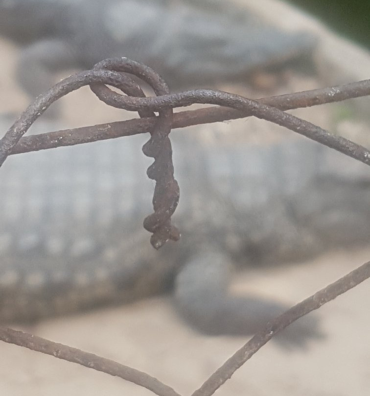 Mamba Village Centre-蒙巴萨必去景点