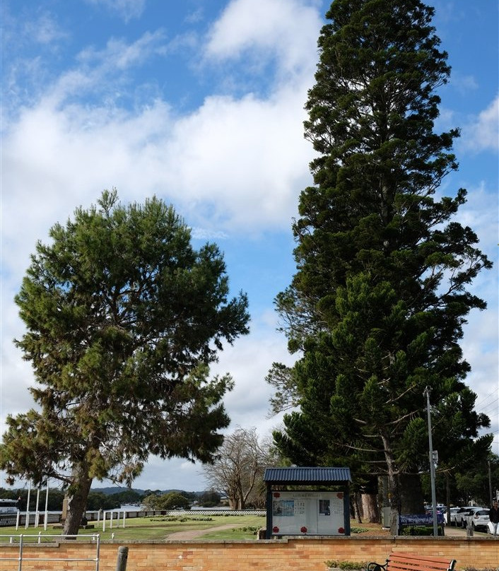 Woy Woy Memorial Park景点图片