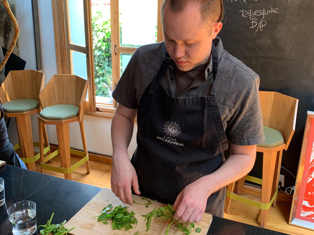 Casa Jacaranda-墨西哥城必去景点