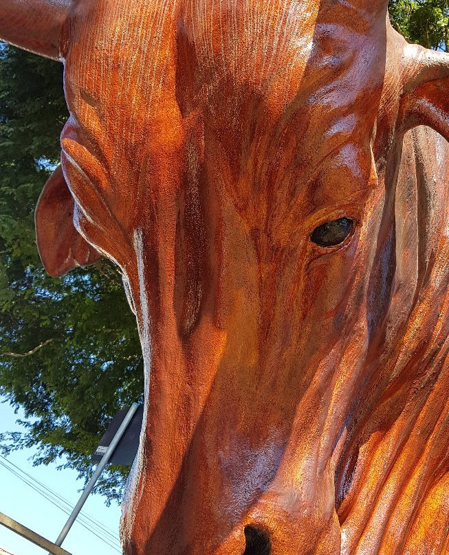 Monumento Boi Sem Coração-Ouro Fino必去景点