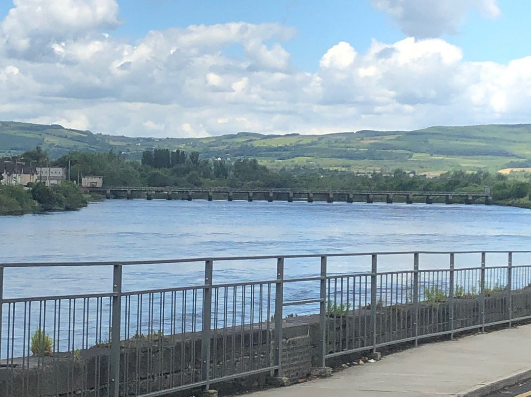 Limerick City Walking Tours-利默里克必去景点