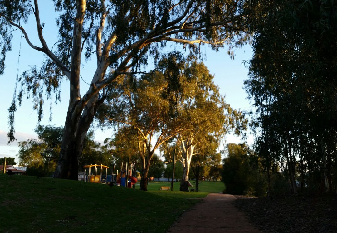 Centenary Park景点图片