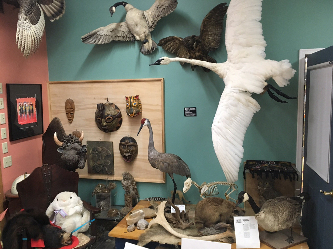 Raven Hill Discovery Center景点图片