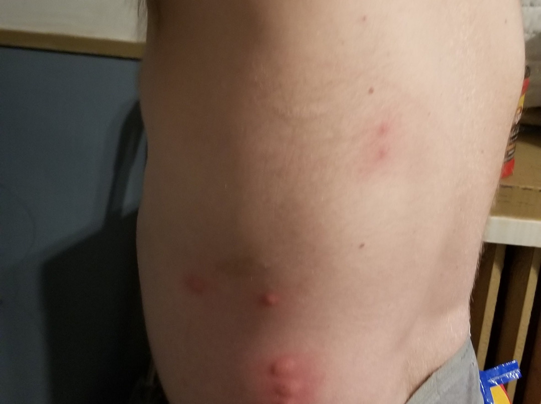 Baymont By Wyndham Bellevue/omaha主图