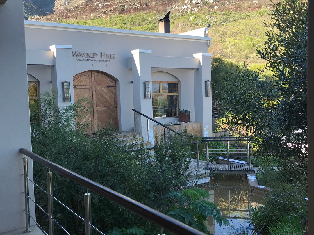Waverley Hills Organic Wine and Olives景点图片