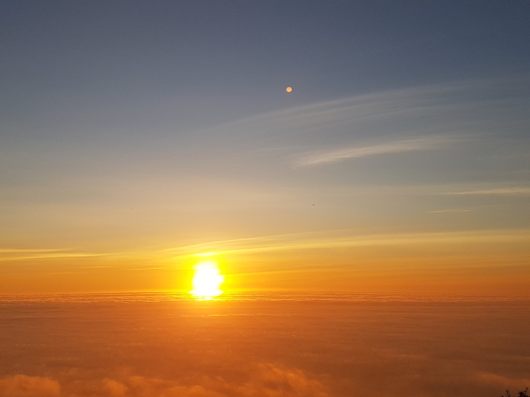 Morkel Travel & Tours-开普敦中心区必去景点