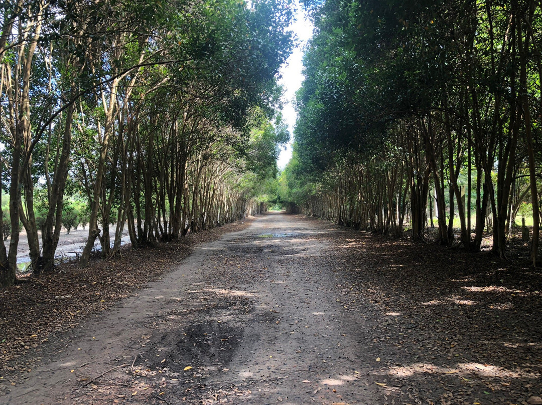 Bangka Botanical Garden (BBG)-Pangkal Pinang必去景点