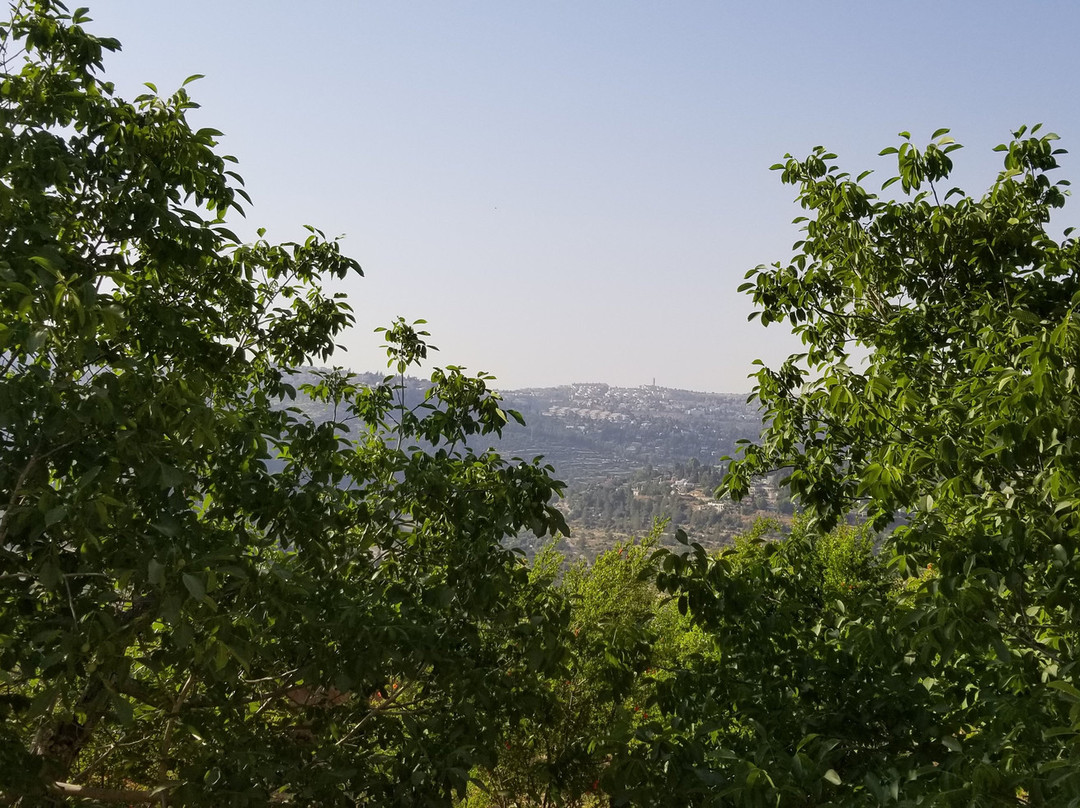 Notre Dame de Sion主图