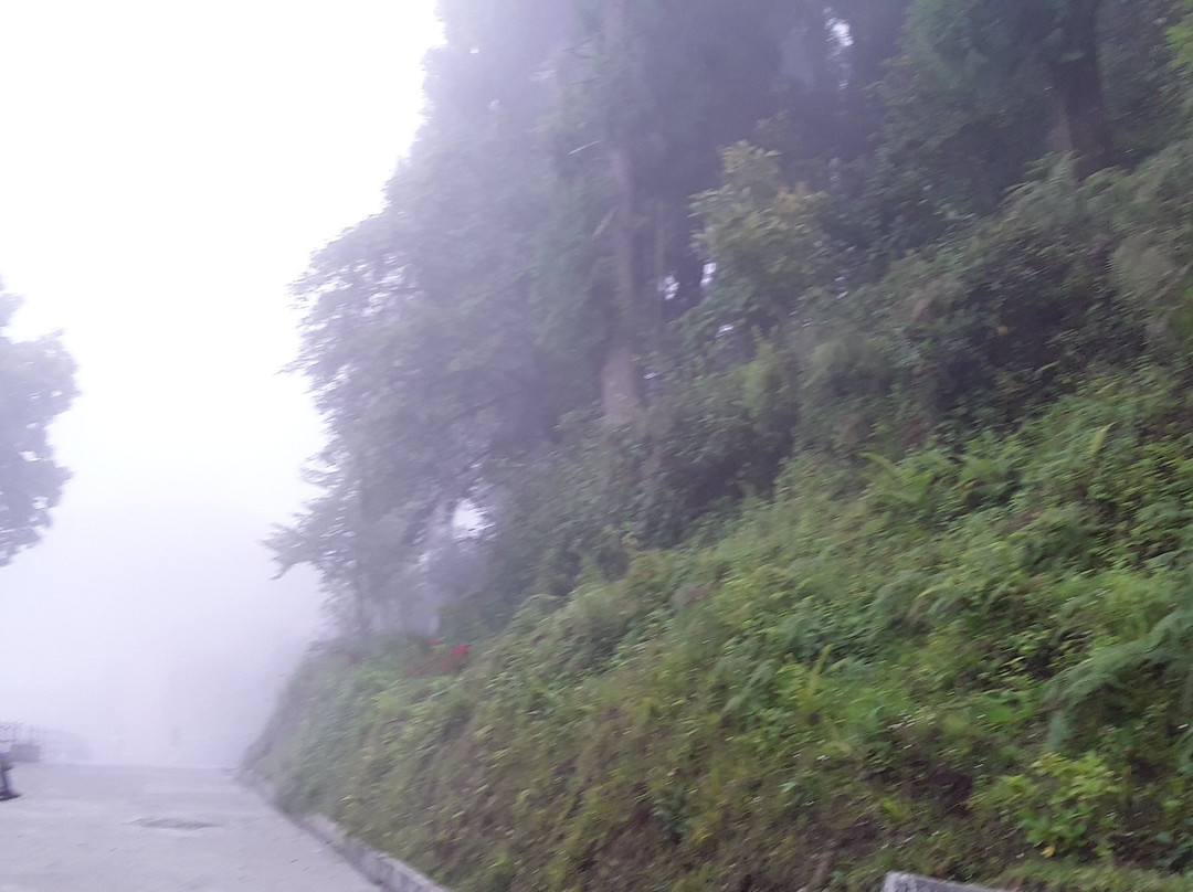 Lava Jamgon Kongtrul Monastery-Lava必去景点