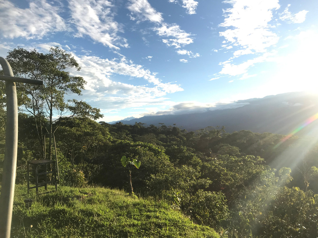 Bellandia Lodge主图