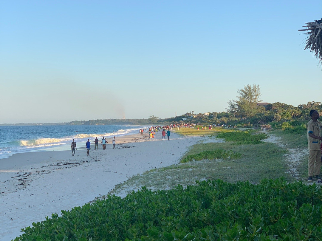 Villa Nyangumi主图