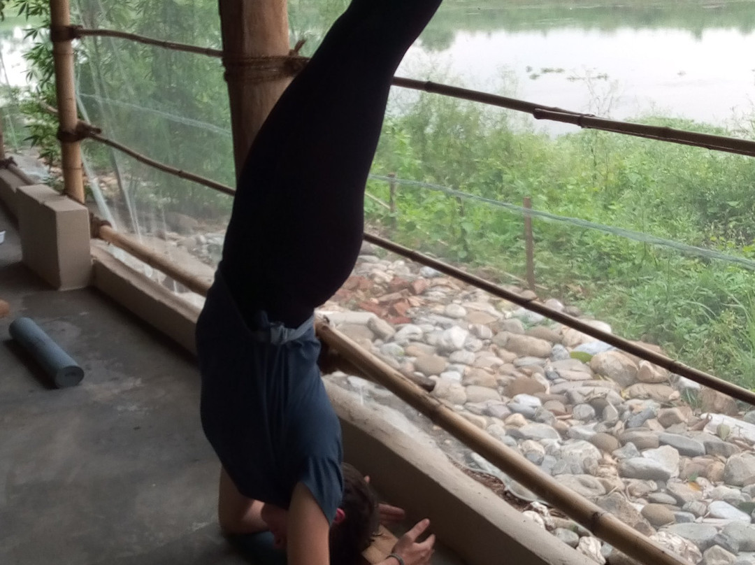 Evergreen Yoga Studio Chitwan-苏拉哈必去景点