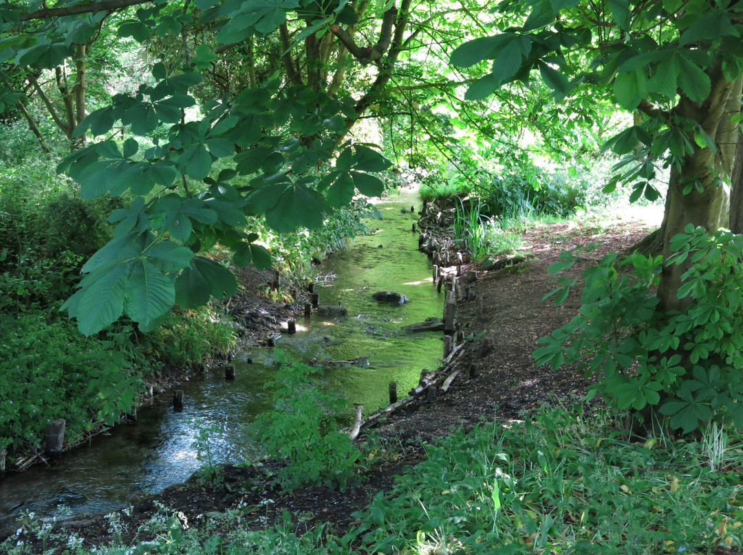 Wiltshire Walks-马尔堡必去景点