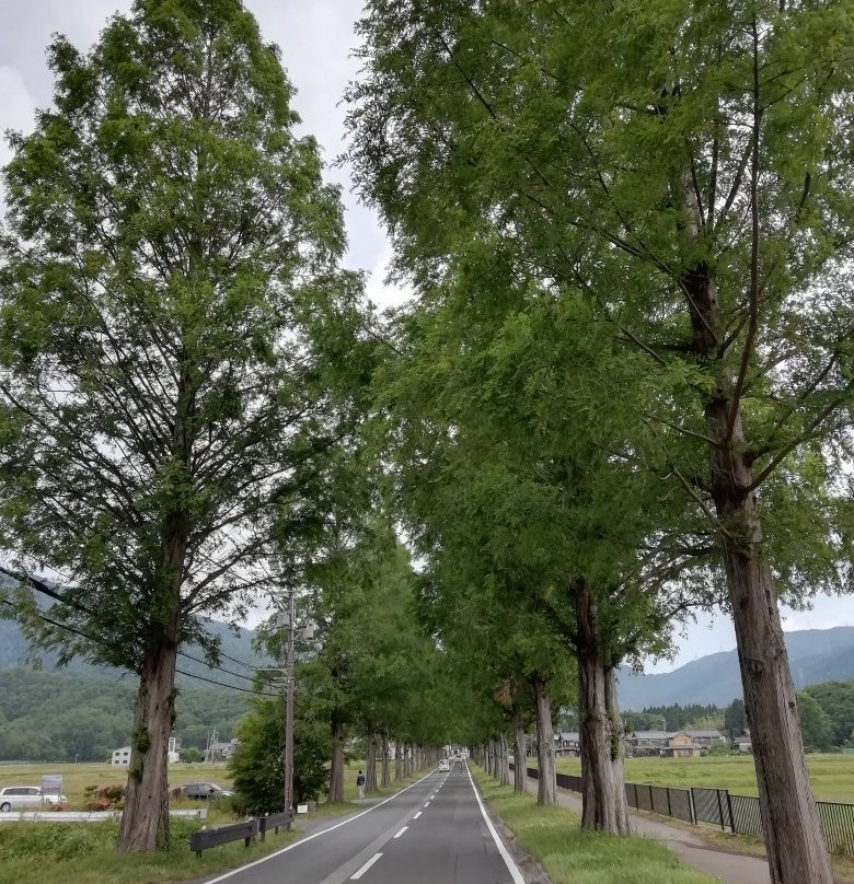 Makino Highland-高岛市必去景点