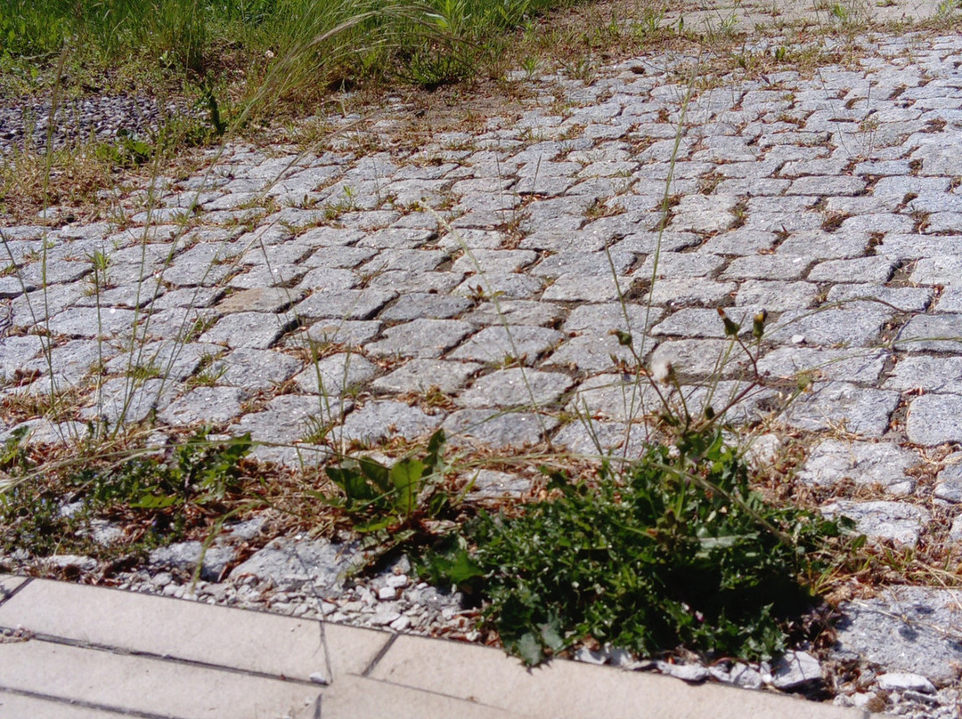 Aquadrom-Seeheilbad Graal-Muritz必去景点