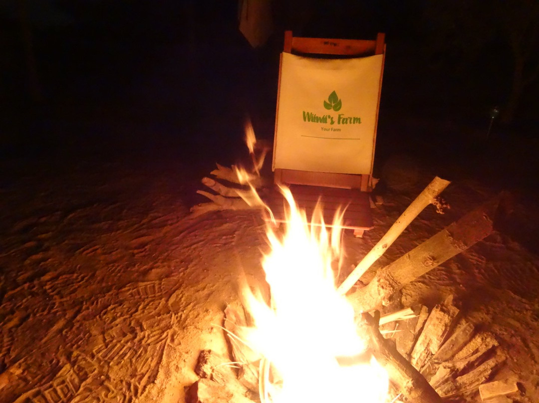 Wiiwii's Farm-吉萨必去景点