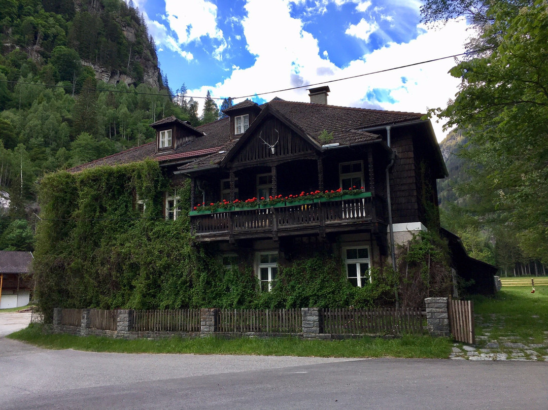 Alpenhotel Pflüglhof主图