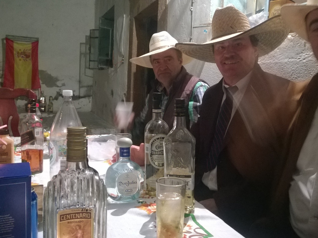 Hotel Tecozautla主图