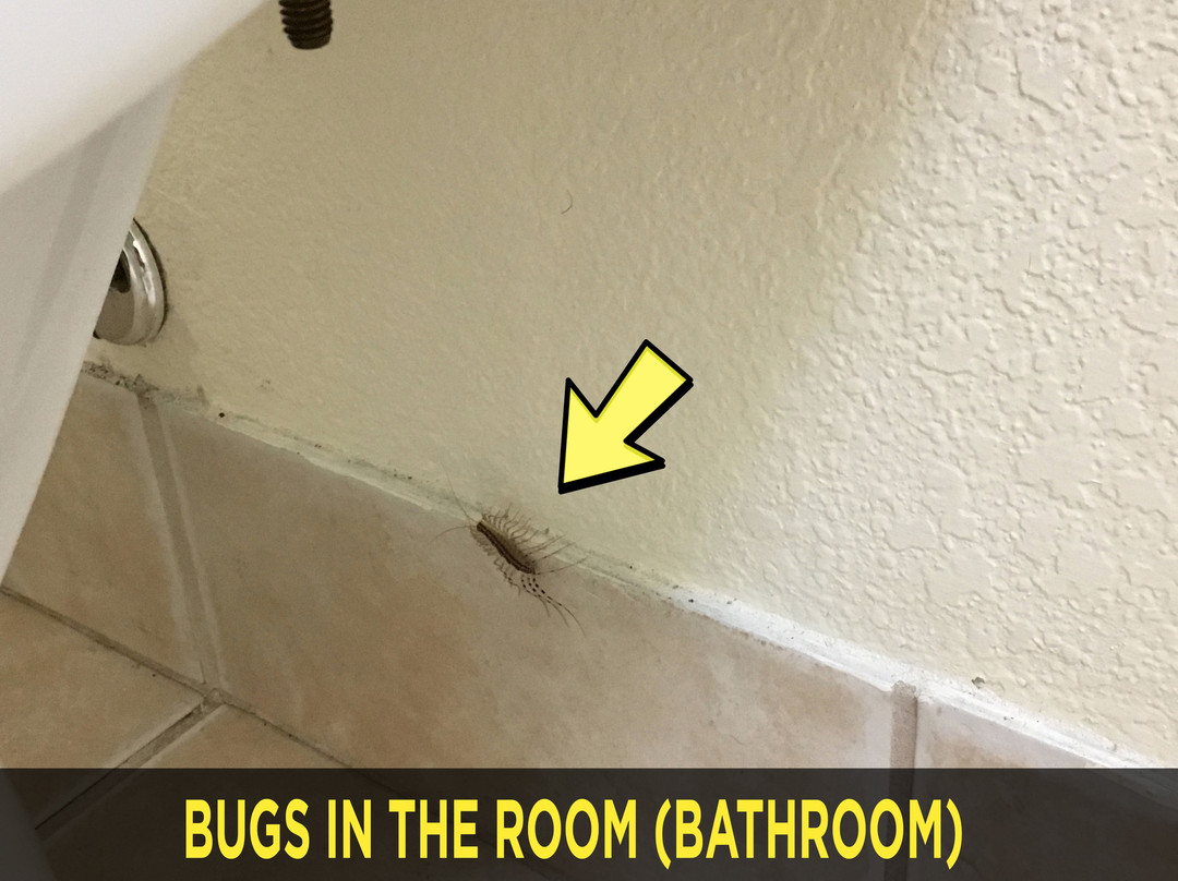 Best Western Amador Inn主图