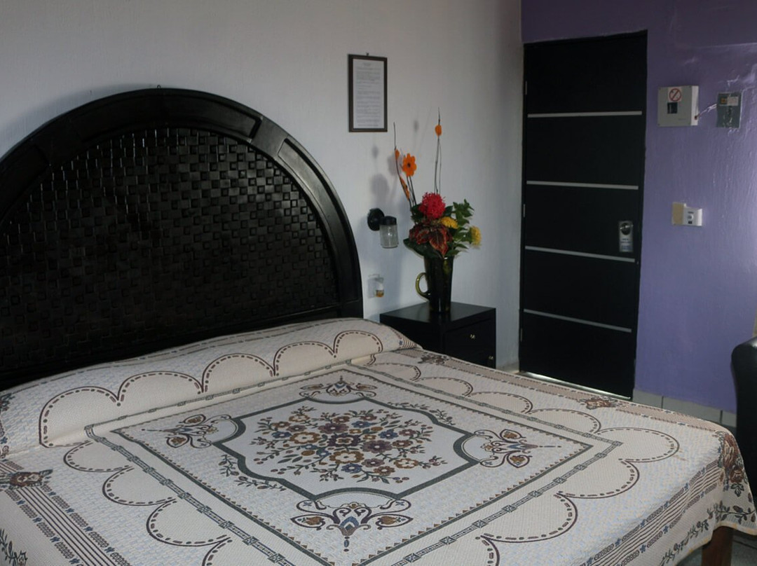 Hotel Punta Mita主图