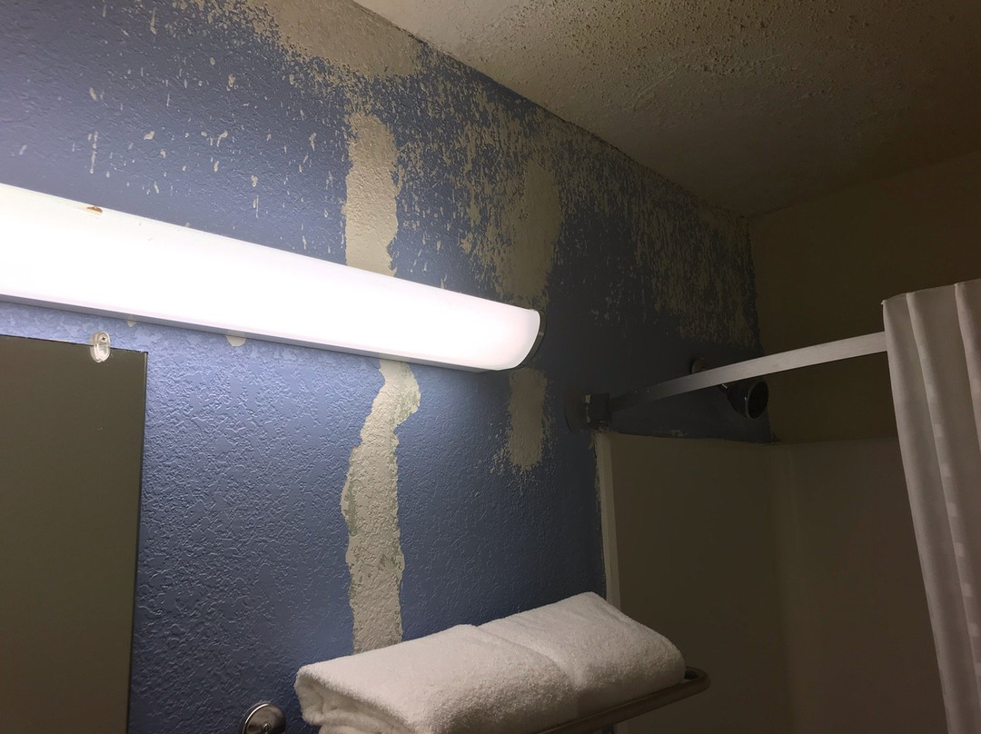 Super 8 by Wyndham New Castle主图